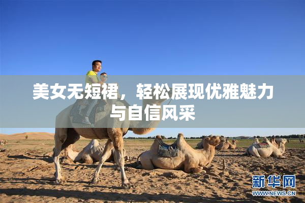 美女无短裙，轻松展现优雅魅力与自信风采