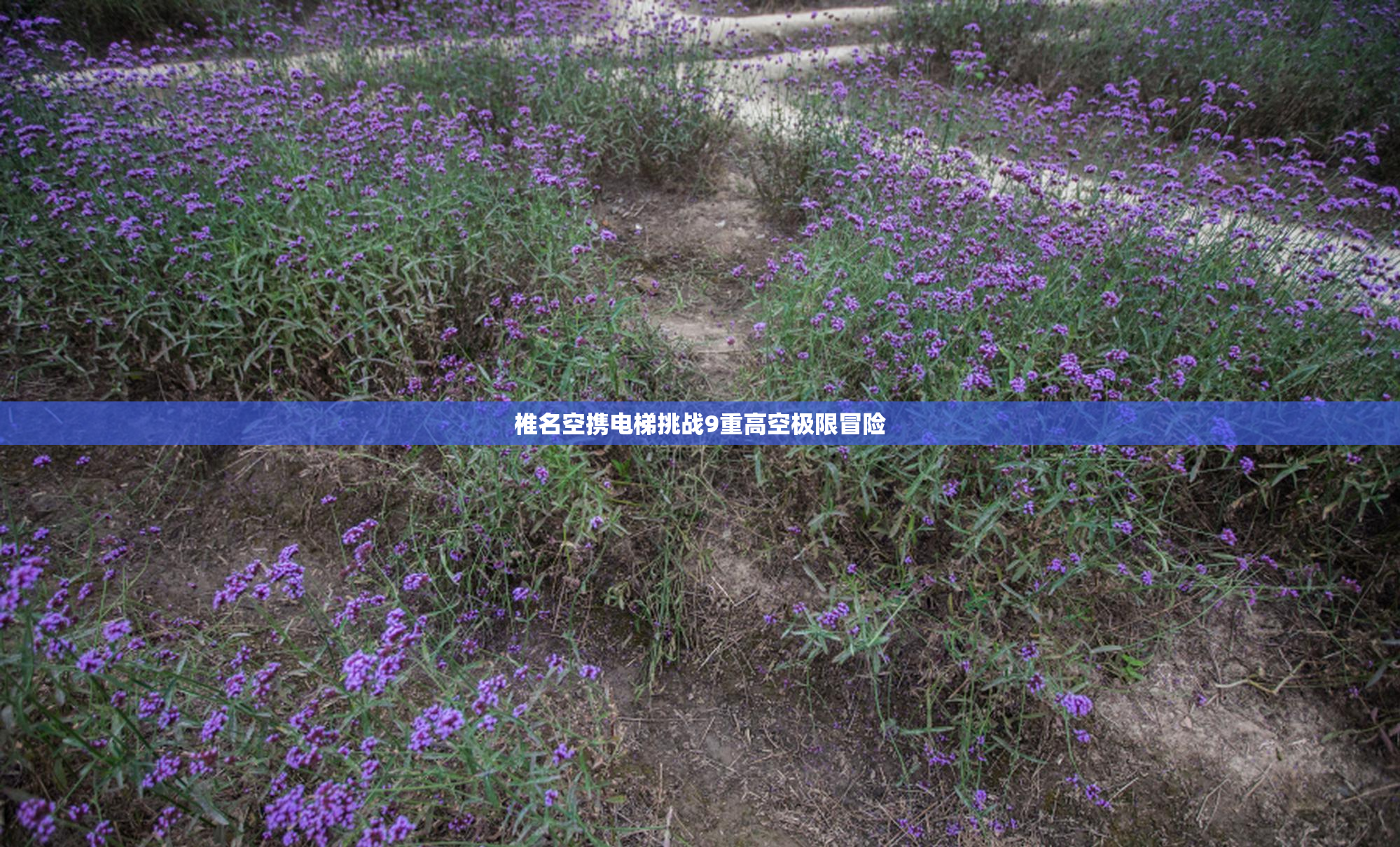 椎名空携电梯挑战9重高空极限冒险