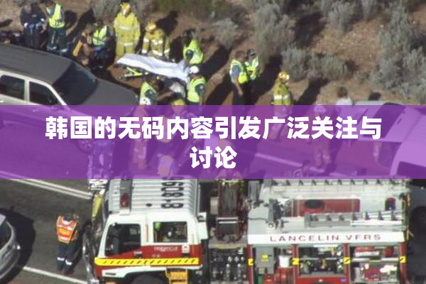 韩国的无码内容引发广泛关注与讨论