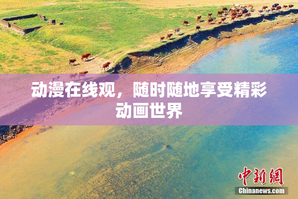 动漫在线观，随时随地享受精彩动画世界