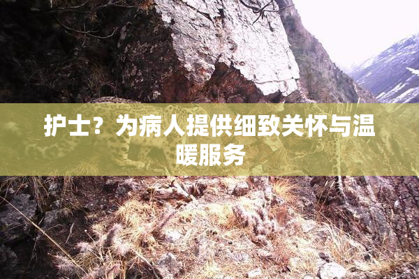 护士？为病人提供细致关怀与温暖服务