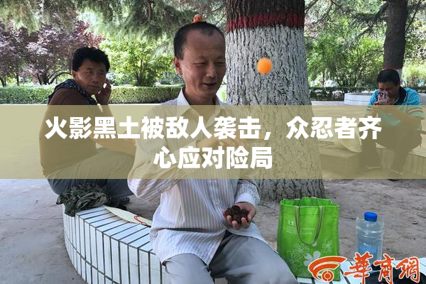 火影黑土被敌人袭击，众忍者齐心应对险局