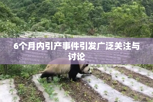 6个月内引产事件引发广泛关注与讨论