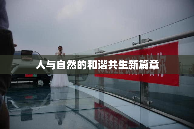 人与自然的和谐共生新篇章