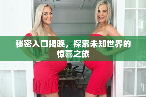 秘密入口揭晓，探索未知世界的惊喜之旅