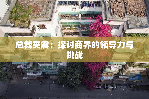 总裁夹震：探讨商界的领导力与挑战