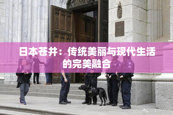 日本苍井：传统美丽与现代生活的完美融合
