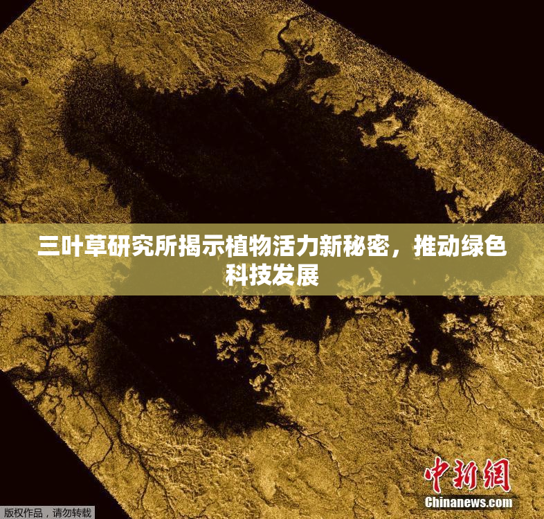 三叶草研究所揭示植物活力新秘密，推动绿色科技发展