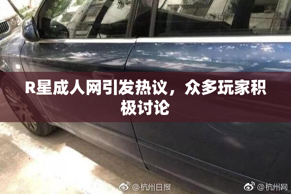 R星成人网引发热议，众多玩家积极讨论