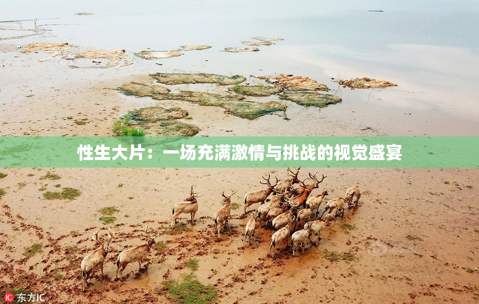 性生大片：一场充满激情与挑战的视觉盛宴