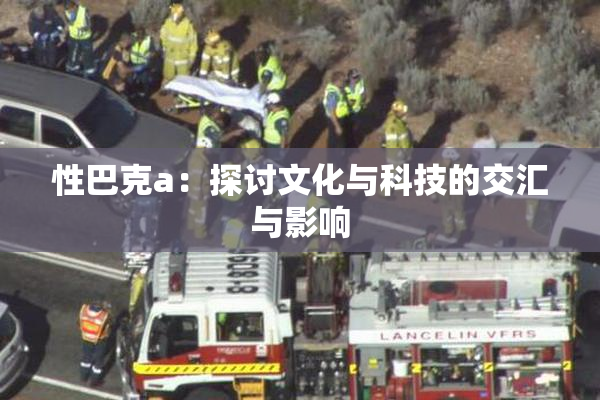 性巴克a：探讨文化与科技的交汇与影响