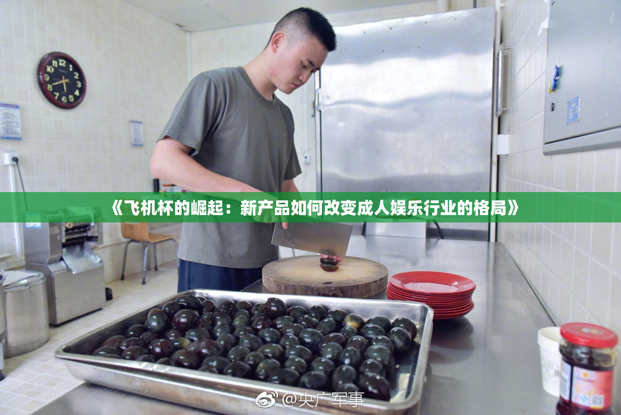 《飞机杯的崛起：新产品如何改变成人娱乐行业的格局》