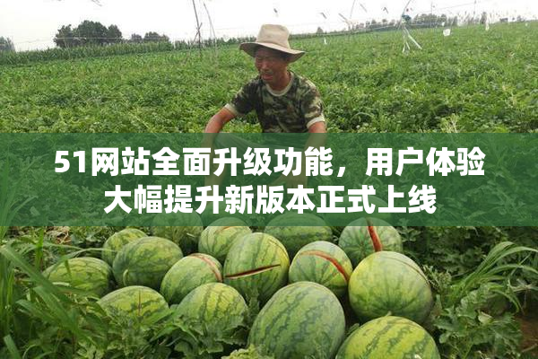 51网站全面升级功能，用户体验大幅提升新版本正式上线