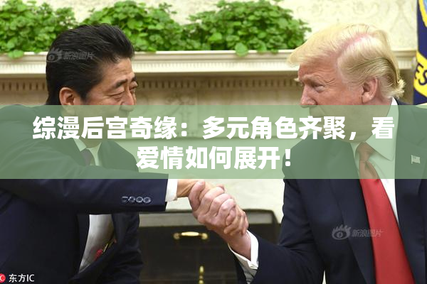 综漫后宫奇缘：多元角色齐聚，看爱情如何展开！