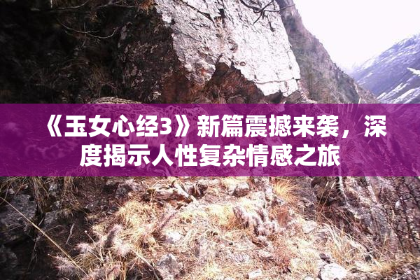 《玉女心经3》新篇震撼来袭，深度揭示人性复杂情感之旅
