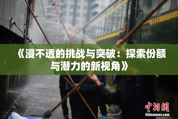 《浸不透的挑战与突破：探索份额与潜力的新视角》