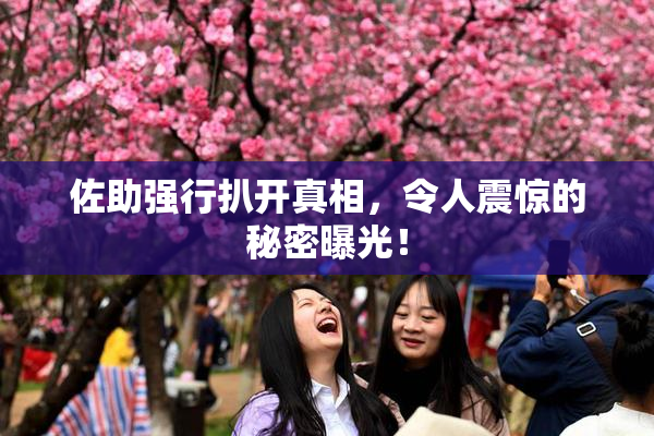 佐助强行扒开真相，令人震惊的秘密曝光！