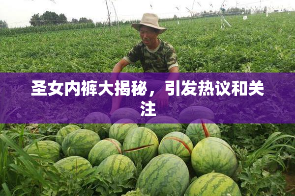圣女内裤大揭秘，引发热议和关注