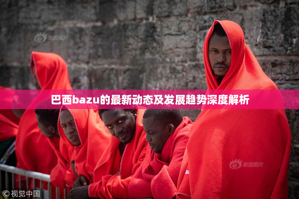 巴西bazu的最新动态及发展趋势深度解析