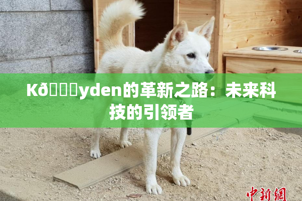 K🈚yden的革新之路：未来科技的引领者