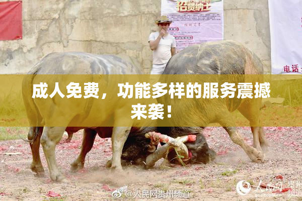 成人免费，功能多样的服务震撼来袭！