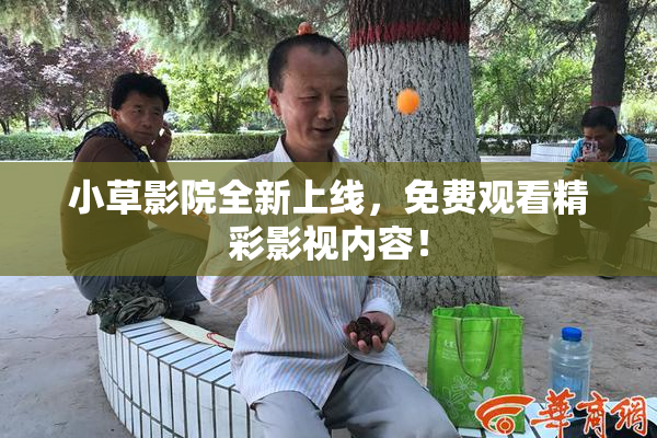小草影院全新上线，免费观看精彩影视内容！
