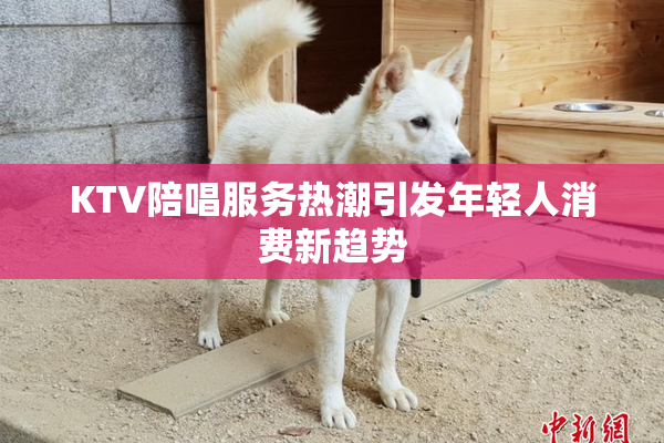 KTV陪唱服务热潮引发年轻人消费新趋势