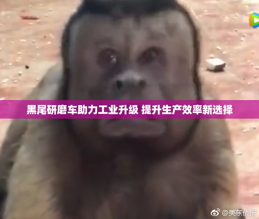 黑尾研磨车助力工业升级 提升生产效率新选择