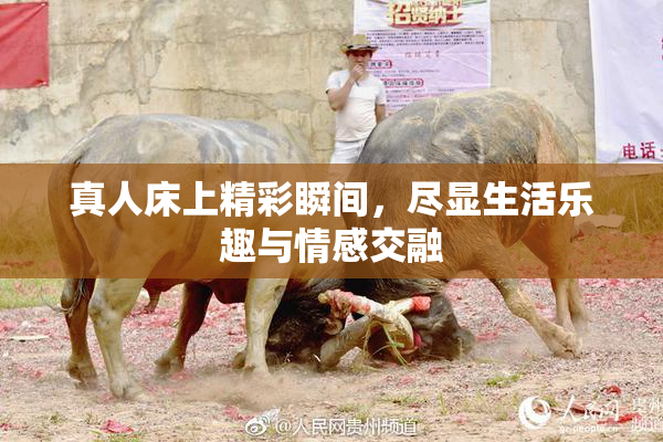 真人床上精彩瞬间，尽显生活乐趣与情感交融