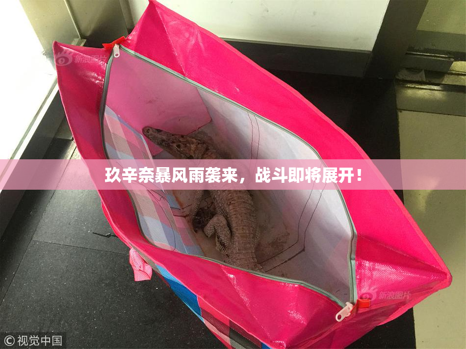 玖辛奈暴风雨袭来，战斗即将展开！