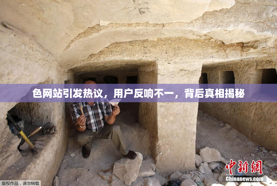 色网站引发热议，用户反响不一，背后真相揭秘