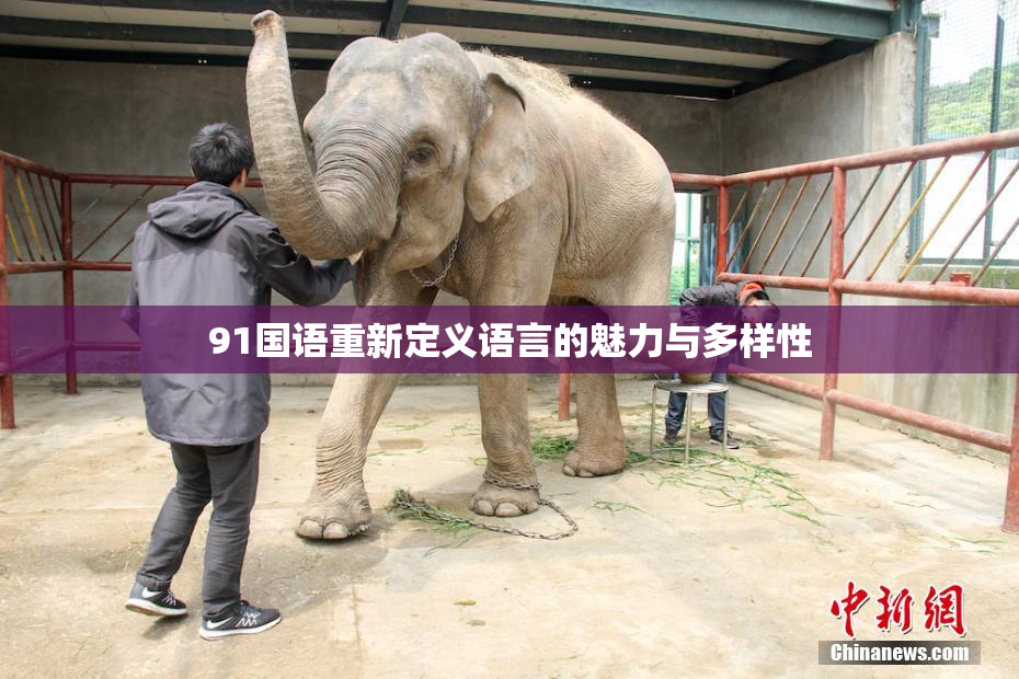 91国语重新定义语言的魅力与多样性