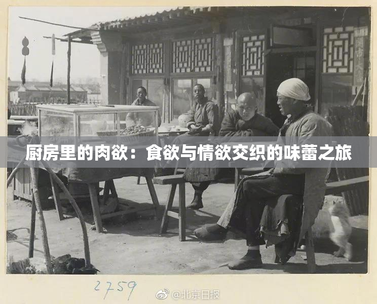 厨房里的肉欲：食欲与情欲交织的味蕾之旅