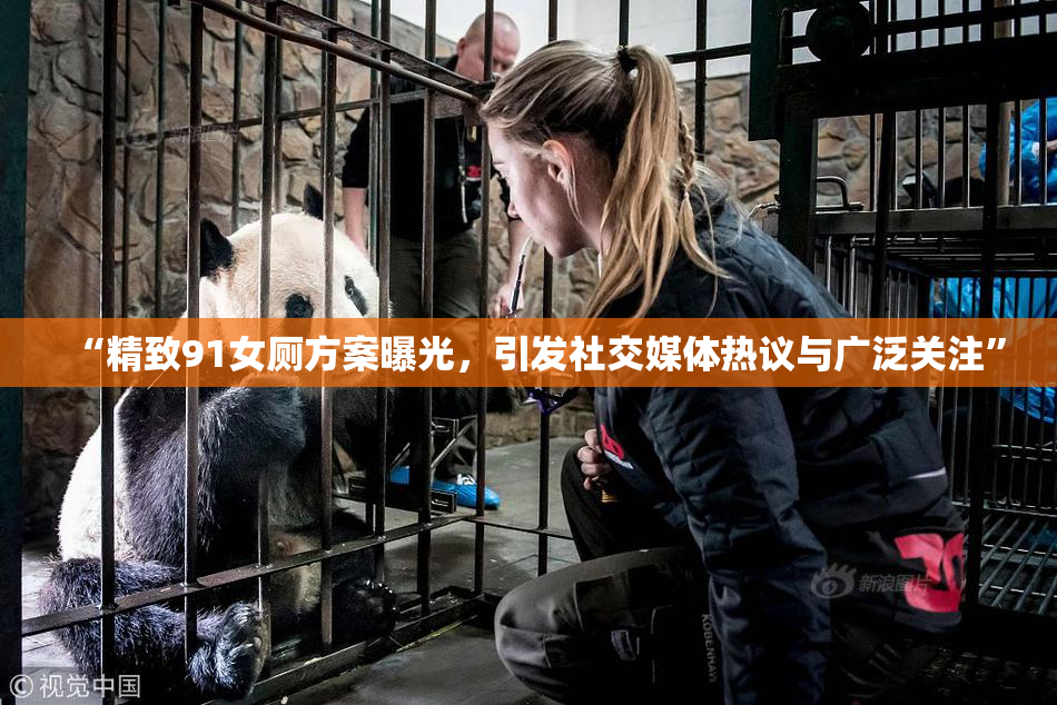 “精致91女厕方案曝光，引发社交媒体热议与广泛关注”