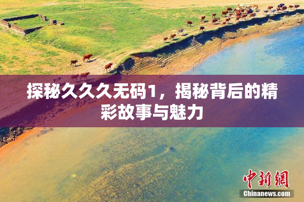 探秘久久久无码1，揭秘背后的精彩故事与魅力