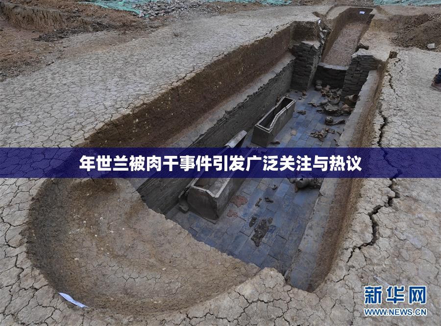 年世兰被肉干事件引发广泛关注与热议