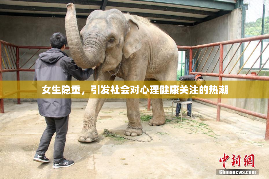 女生隐重，引发社会对心理健康关注的热潮