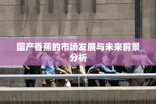 国产香蕉的市场发展与未来前景分析