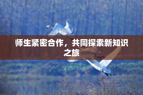 师生紧密合作，共同探索新知识之旅