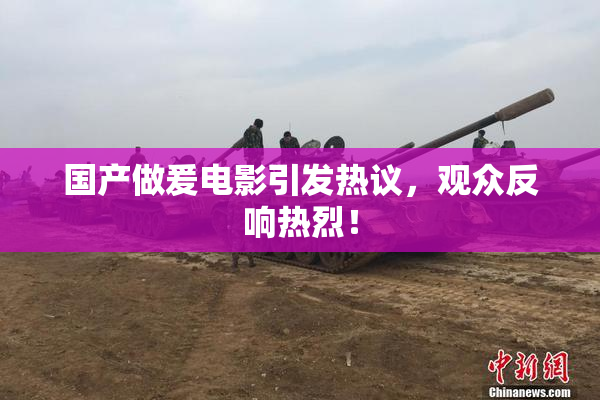 国产做爰电影引发热议，观众反响热烈！