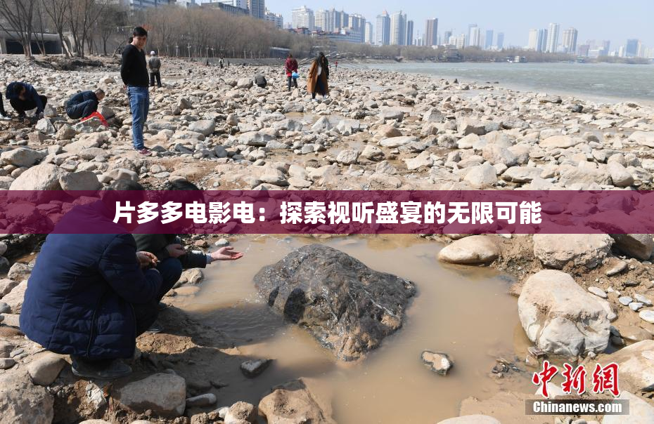 片多多电影电：探索视听盛宴的无限可能