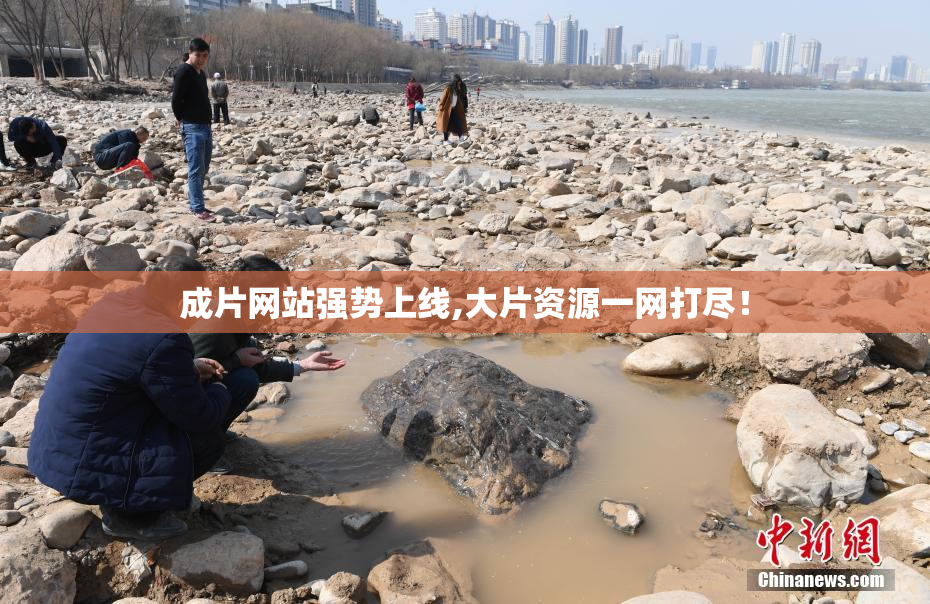 成片网站强势上线,大片资源一网打尽！