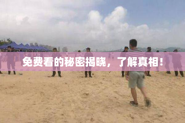 免费看的秘密揭晓，了解真相！