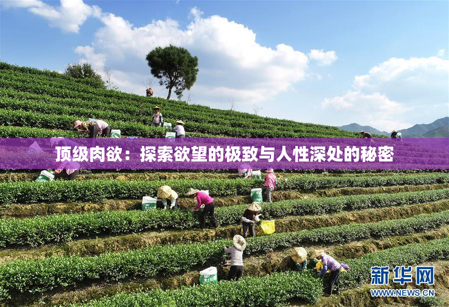 顶级肉欲：探索欲望的极致与人性深处的秘密