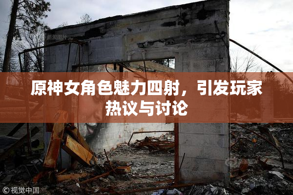 原神女角色魅力四射，引发玩家热议与讨论