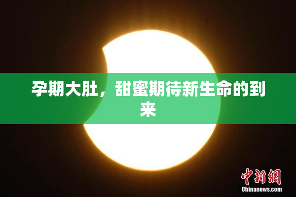 孕期大肚，甜蜜期待新生命的到来