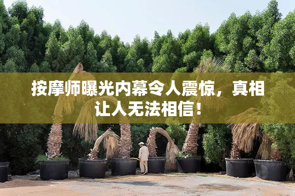 按摩师曝光内幕令人震惊，真相让人无法相信！