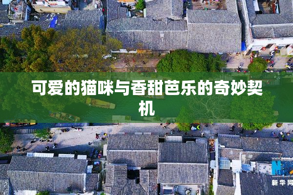 可爱的猫咪与香甜芭乐的奇妙契机