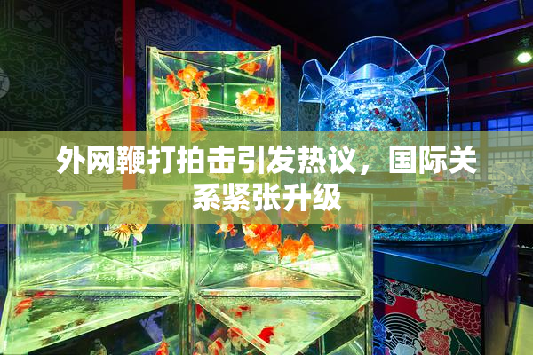 外网鞭打拍击引发热议，国际关系紧张升级