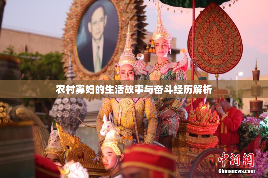 农村寡妇的生活故事与奋斗经历解析